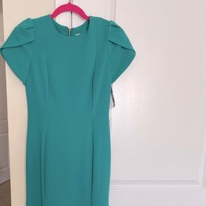 Calvin Klein Women's Essential Sleeveless Sheath, Green, 4